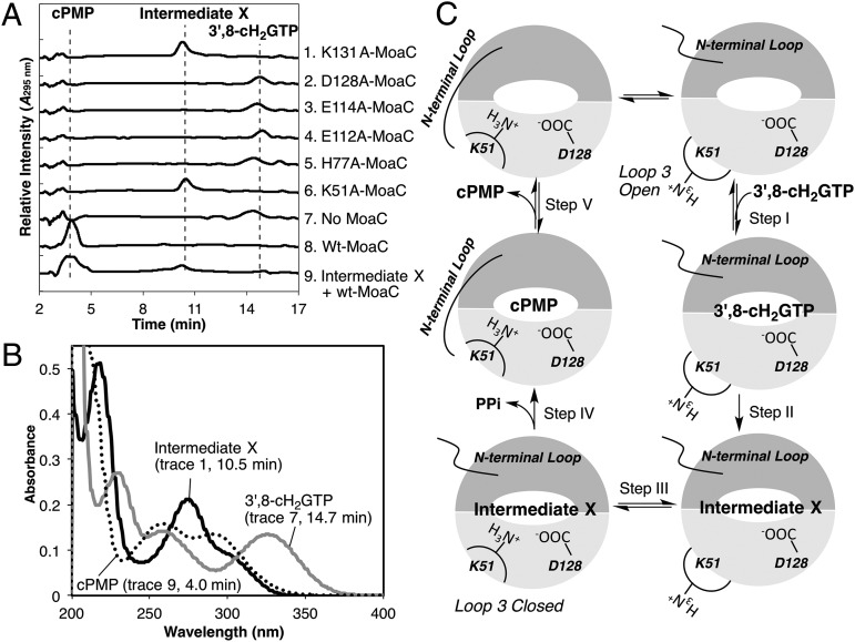 Fig. 4.