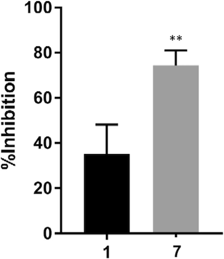 Figure 7