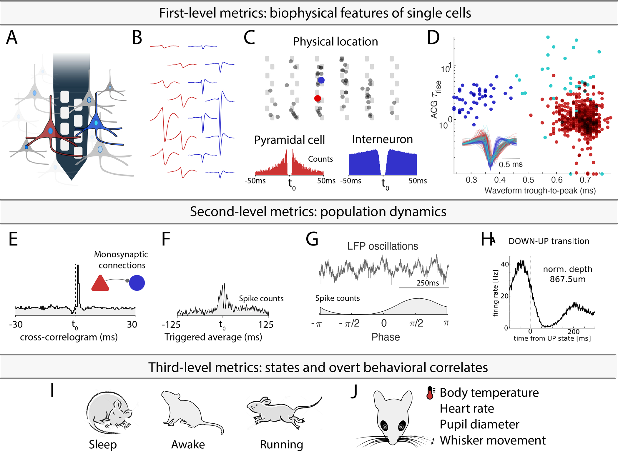 Figure 1: