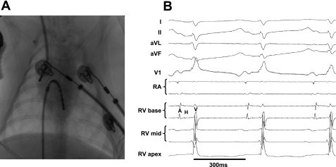 Fig. 1.