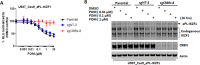 Figure 1—figure supplement 1.
