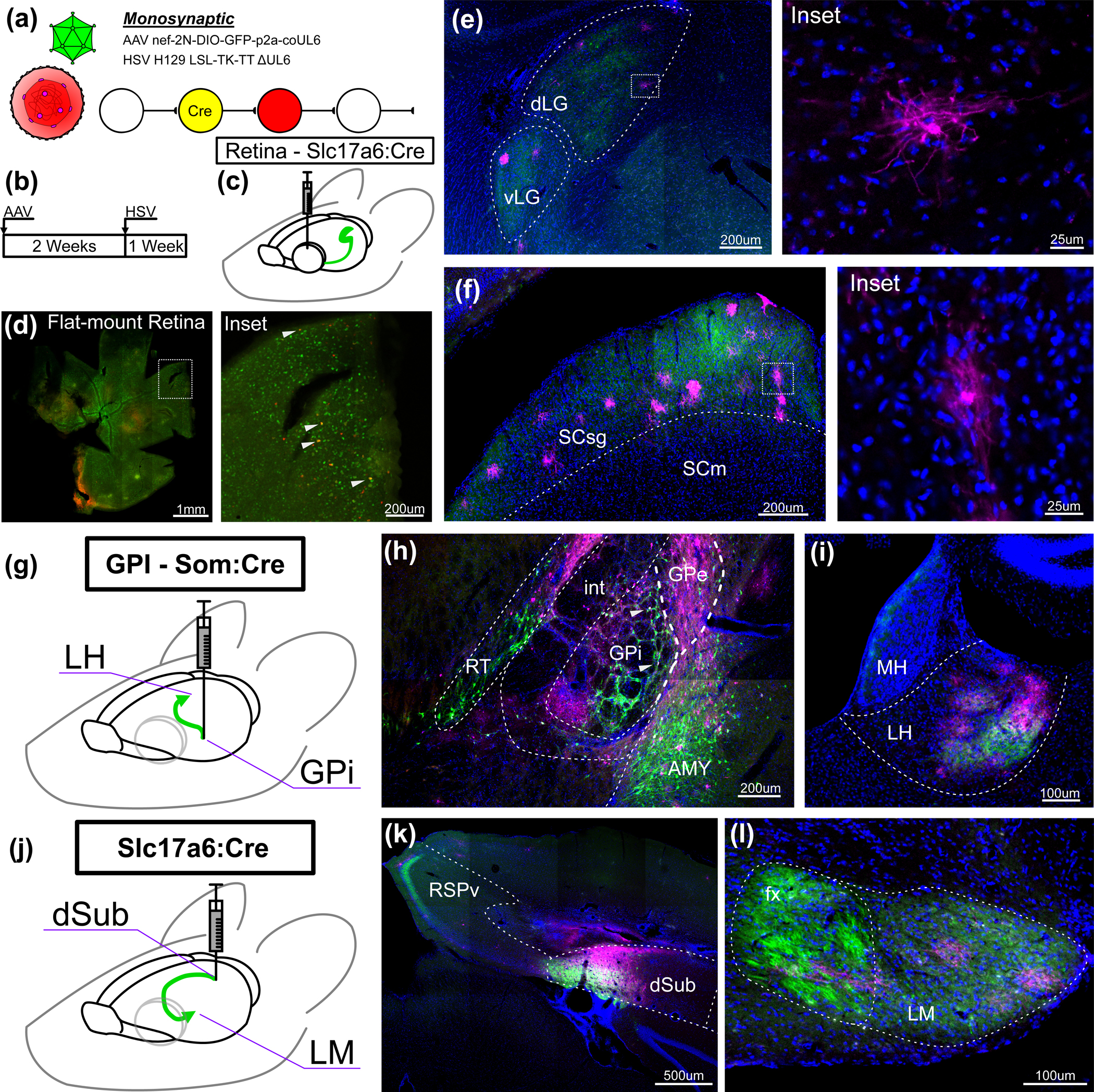 Figure 2: