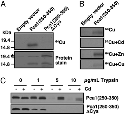 Fig. 6.