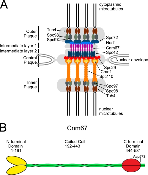 FIGURE 1.