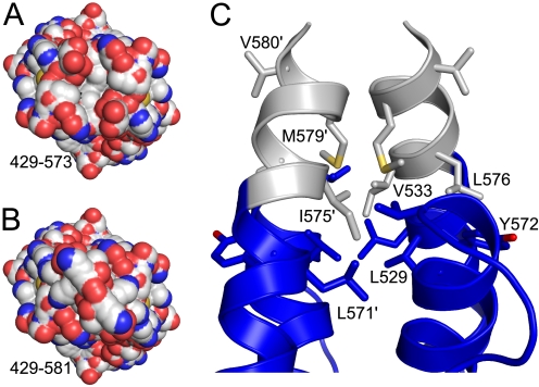 FIGURE 7.