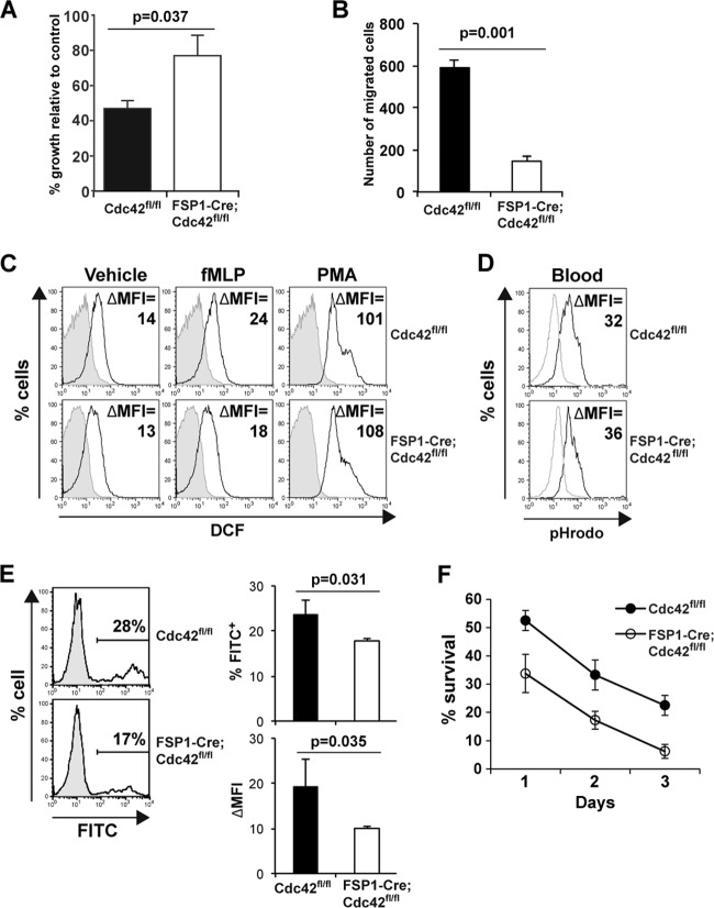 Fig 6