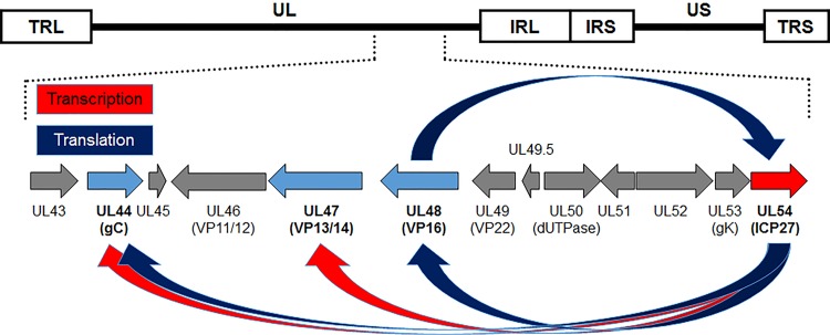 FIG 1