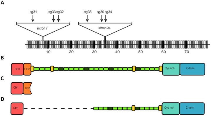 Fig. 2.