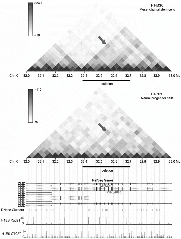 Fig. 10.