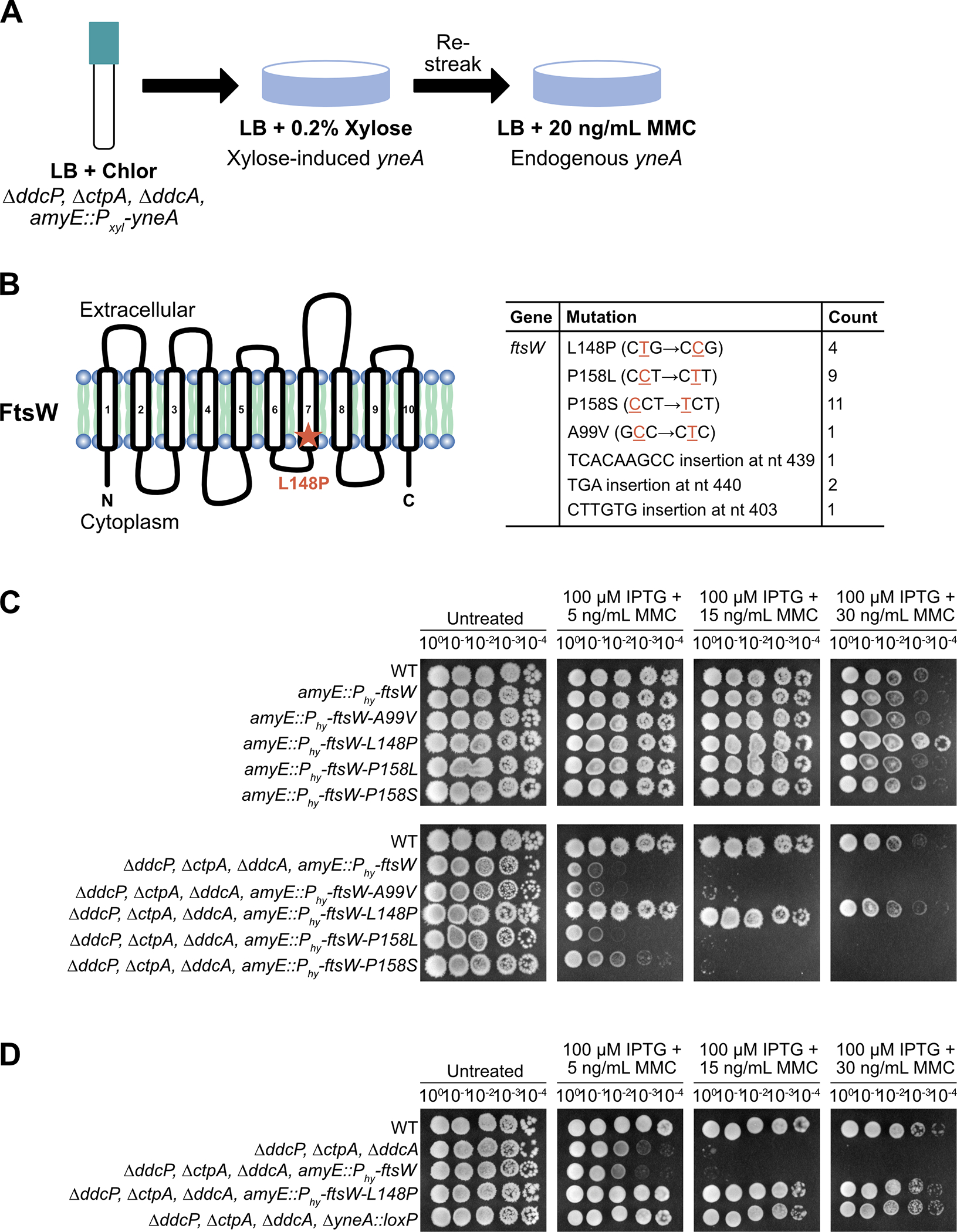 Figure 4.