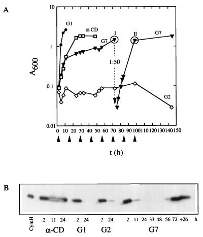 FIG. 6