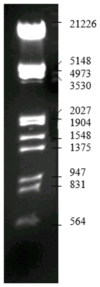 Figure 16