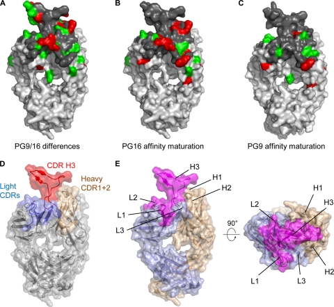 FIG. 8.