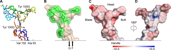 FIG. 2.