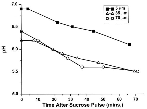 FIG. 10