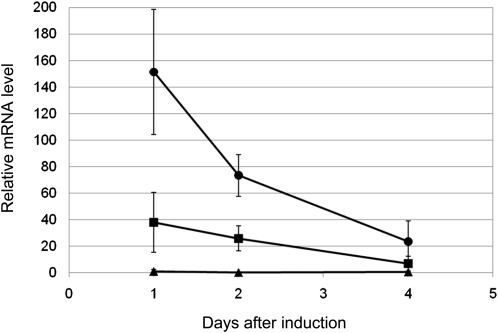 Figure 11.