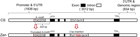 Figure 7.