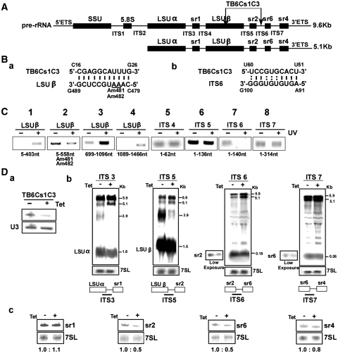 Figure 6.