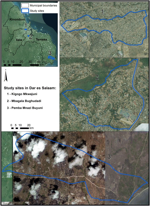 Fig. 1