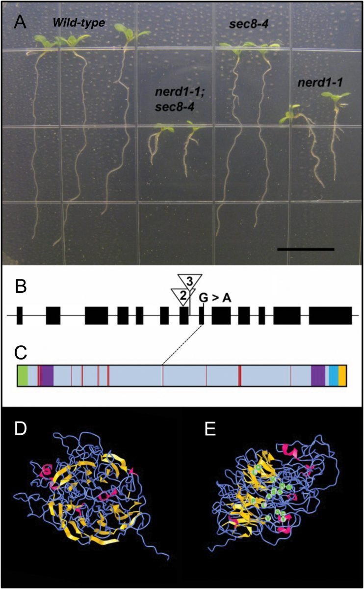 Fig. 1.