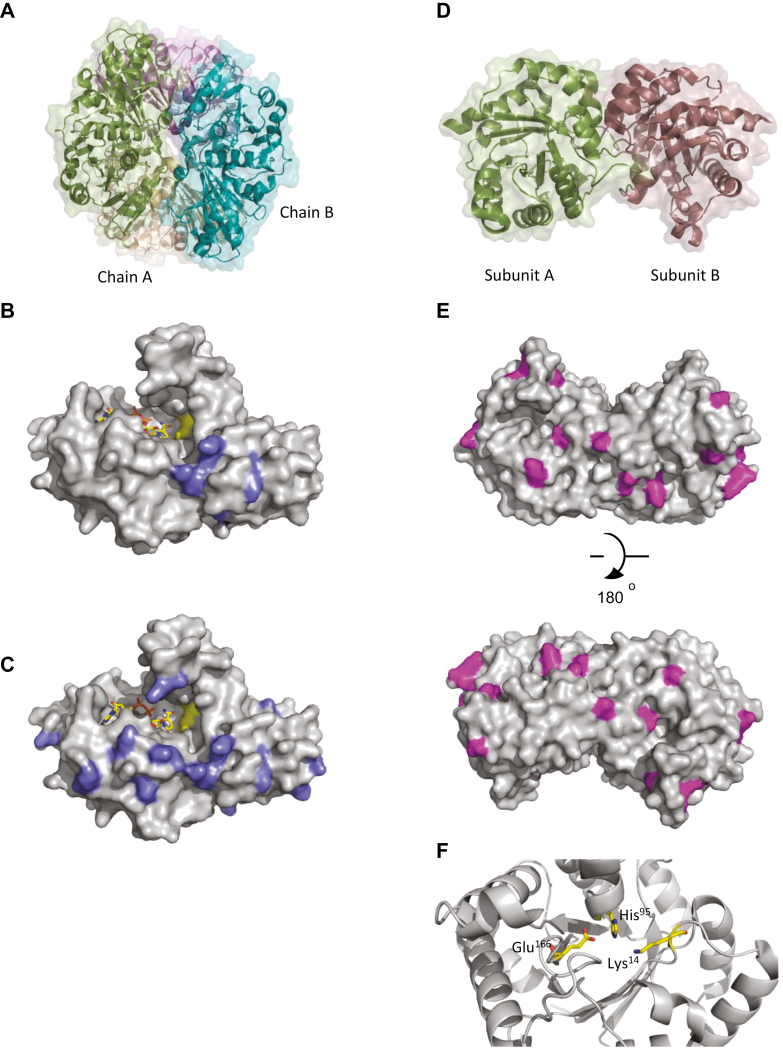 Fig. 6.