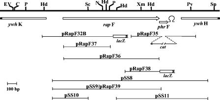 FIG. 1.