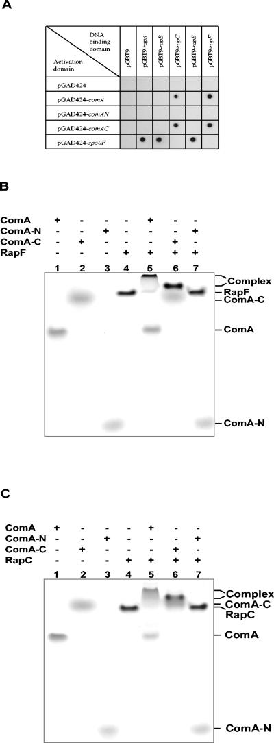 FIG. 8.