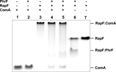 FIG. 7.