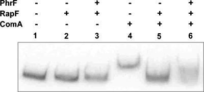 FIG. 6.