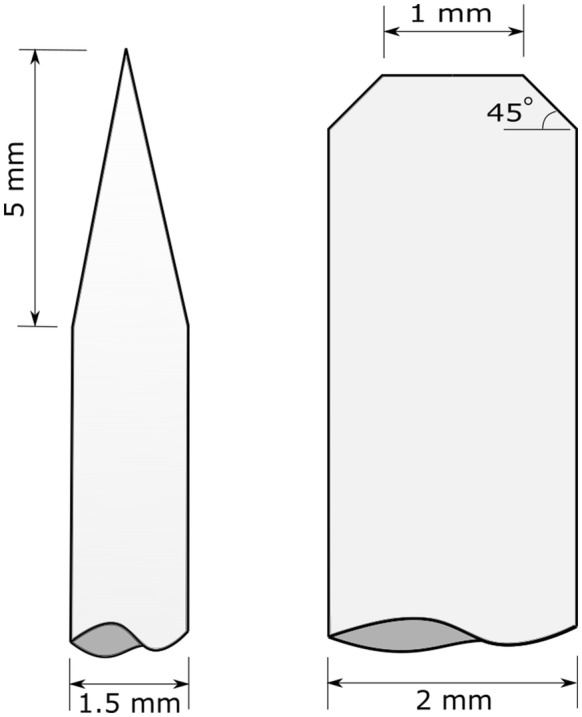 Fig. 1