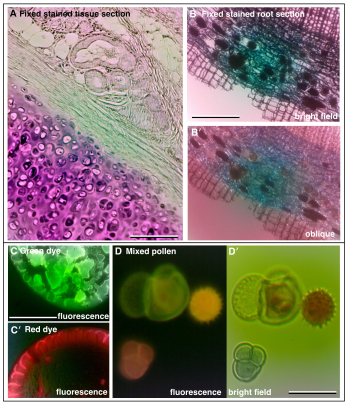 Figure 3. 