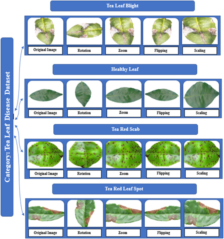 Fig 4