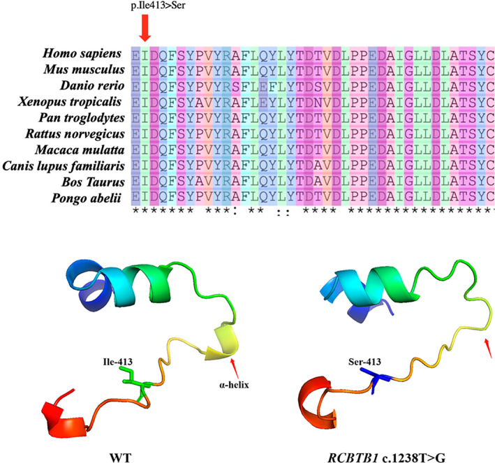 FIGURE 3