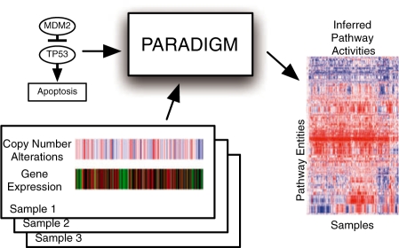 Fig. 2.