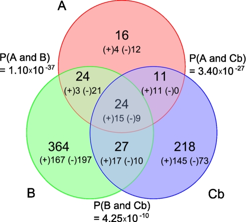 FIG 5 