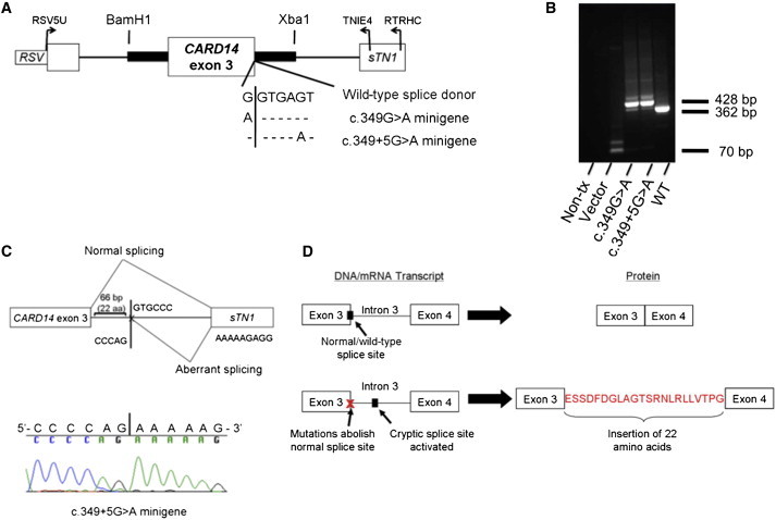 Figure 3