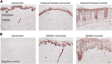 Figure 5