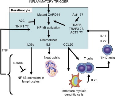 Figure 6