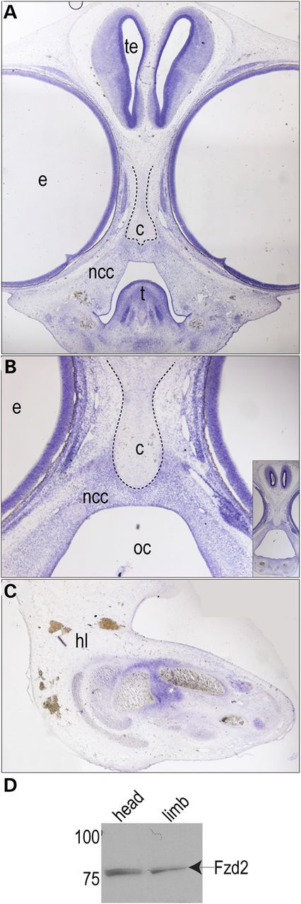 Figure 4.