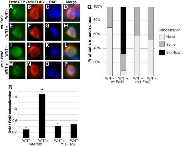 Figure 6.