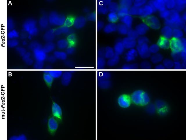 Figure 5.