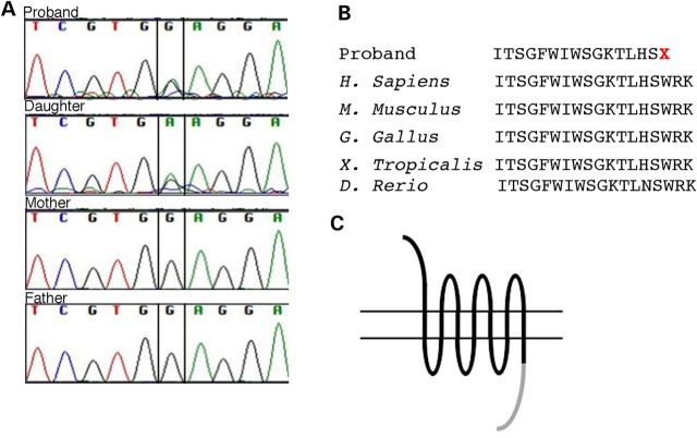 Figure 3.