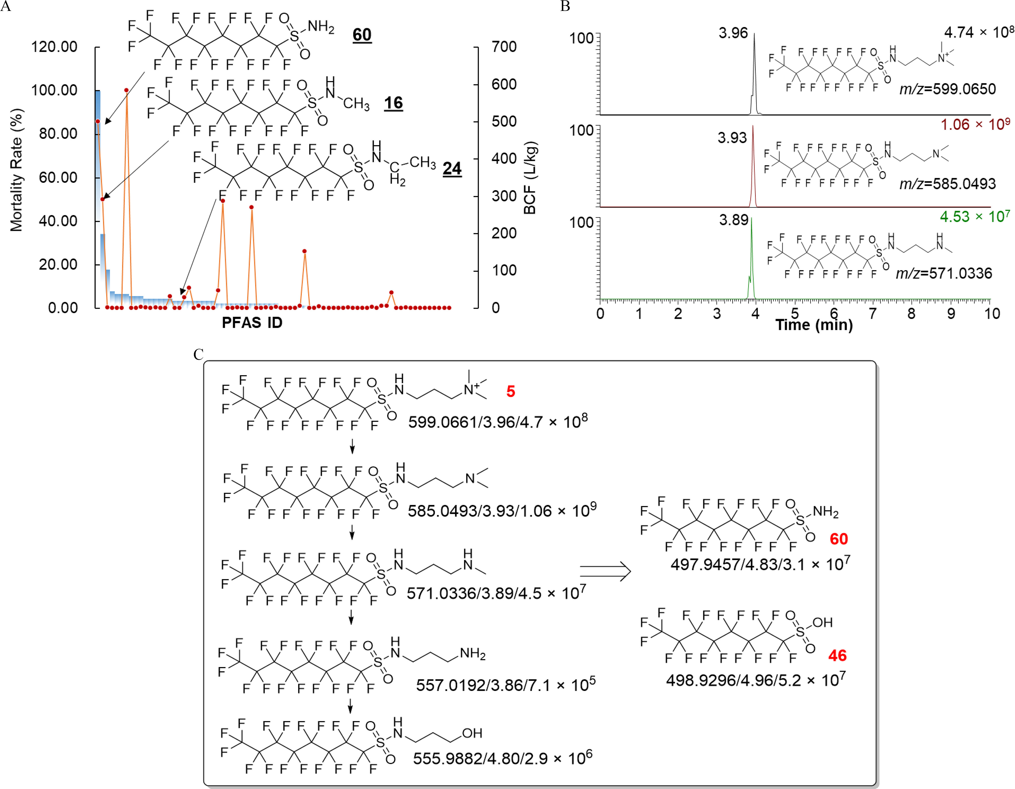 Figure 2A is a line graph, plotting Mortality Rate (percentage), ranging from 0.00 to 120.00 in increments of 20.00 (left y-axis) and bioconcentration factor (liters per kilogram), ranging from 0 to 700 in increments of 100 (right y-axis) across polyfluoroalkyl substances identifier (x-axis) for mortality rates and bioconcentration factor. Figure 2B is a chromatogram, plotting metabolites, ranging from 0 to 100 in increments of 100 (y-axis) across Time (minutes), ranging from 0 to 10 in unit increments (x-axis) for mass-to-charge ratio. Figure 2C is a representative chemical structure of metabolism pathways of perfluorooctane sulfonamide quaternary ammonium salt in zebrafish larvae. The exact mass, retention time and peak intensity are shown for each detected metabolite. Perfluorooctane sulfonamide (46) and perfluorooctane sulfonamide quaternary ammonium salt (60) was confirmed with authentic standards (confidence level 1).