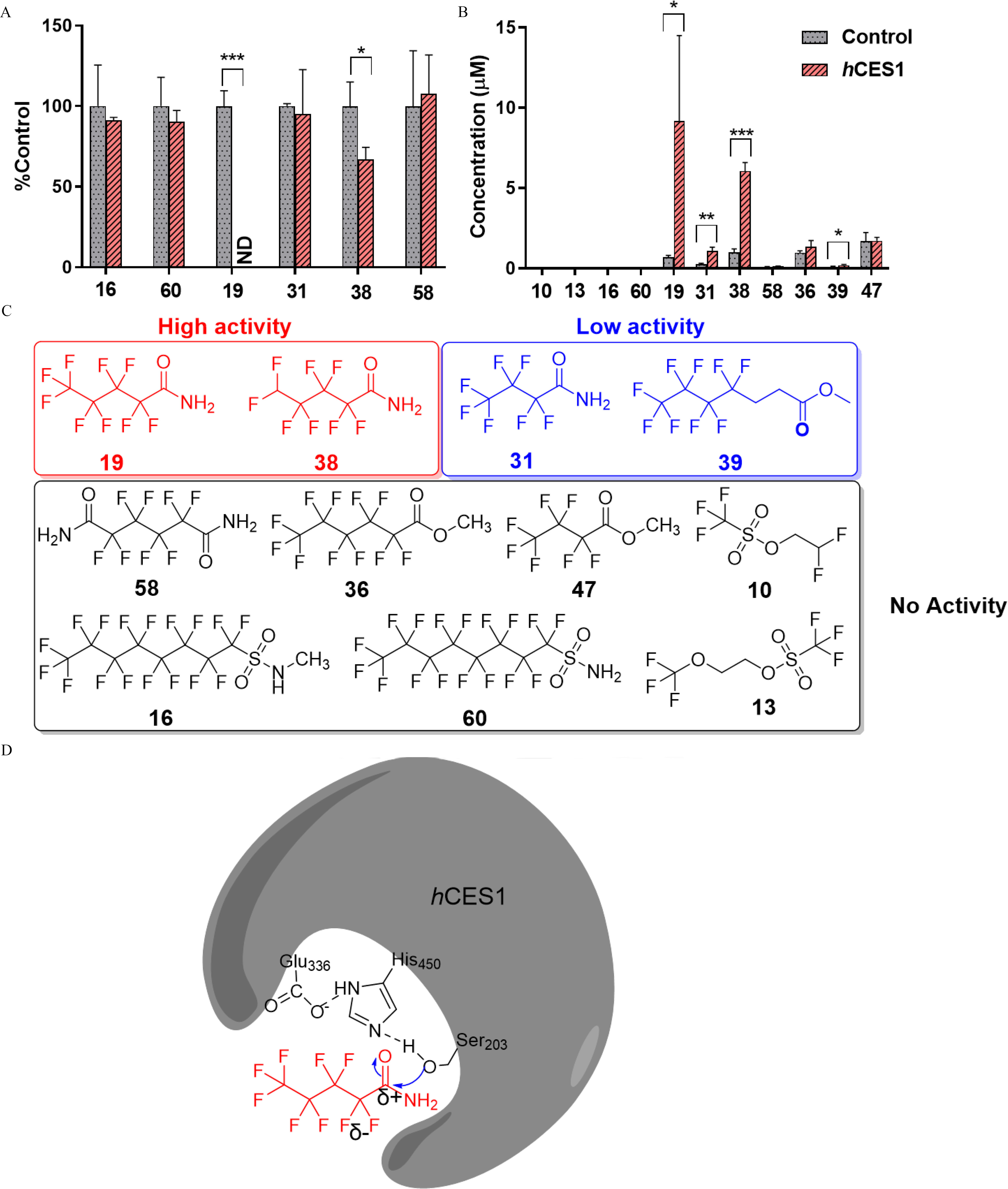 Figures 7A and 7B are clustered bar graphs, plotting percentage control, ranging from 0 to 150 in increments of 50 and concentration (micromolar), ranging from 0 to 15 in increments of 5 (y-axis) across compounds 16, 60, 19, 31, 38, and 58, and 10, 13, 16, 60, 19, 31, 38, 58, 36, 39, (x-axis) 47 for control and human liver carboxylesterase 1, respectively. Figure 7C is a representative chemical structure of eleven per- and polyfluoroalkyl substances into high, low, and no hydrolysis activity catalyzed by human liver carboxylesterase 1. In high activity, there are two structures, namely, 19 and 38. In low activity, there are two structures, namely, 31 and 39. In no activity, there are seven structures, namely, 58, 36, 47, 10, 16, 60, and 13. Figure 7D is an illustration diagram depicting the proposed mechanism of per- and polyfluoroalkyl substances hydrolyzation by human liver carboxylesterase 1. The hypothesized electronegative fluorines on lowercase alpha carbon decrease the electron density of the amide moiety, for nucleophilic attack by Ser 203 on human liver carboxylesterase 1, which eventually leads to high hydrolytic activity of perfluoroalkyl carboxamides. The dashed lines represent electron donation from Glu336, and His450.