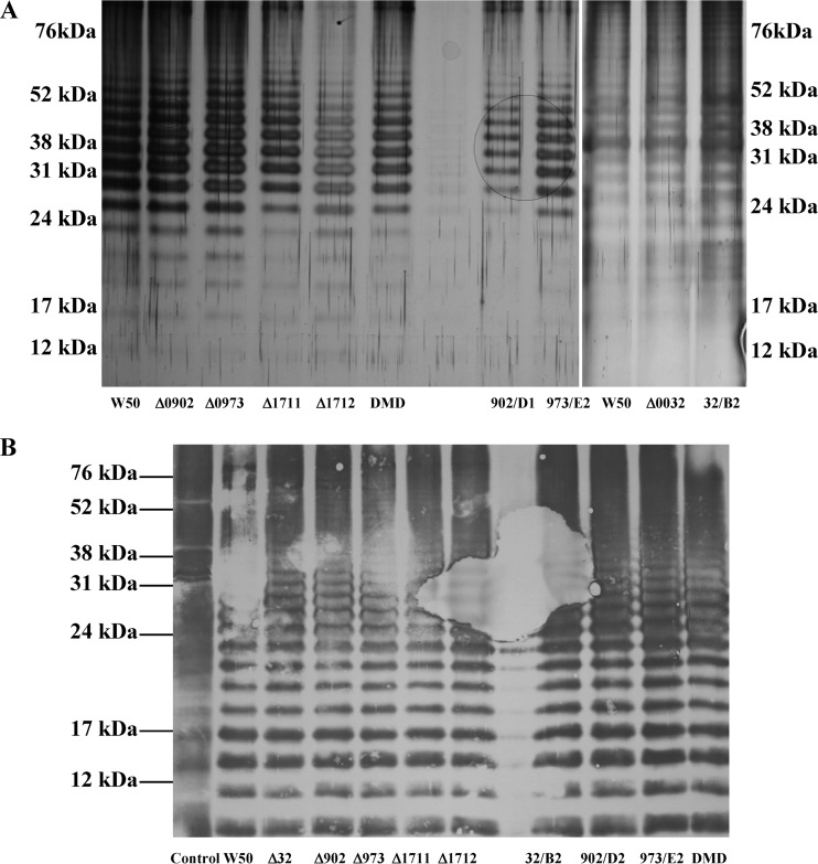 Fig 5