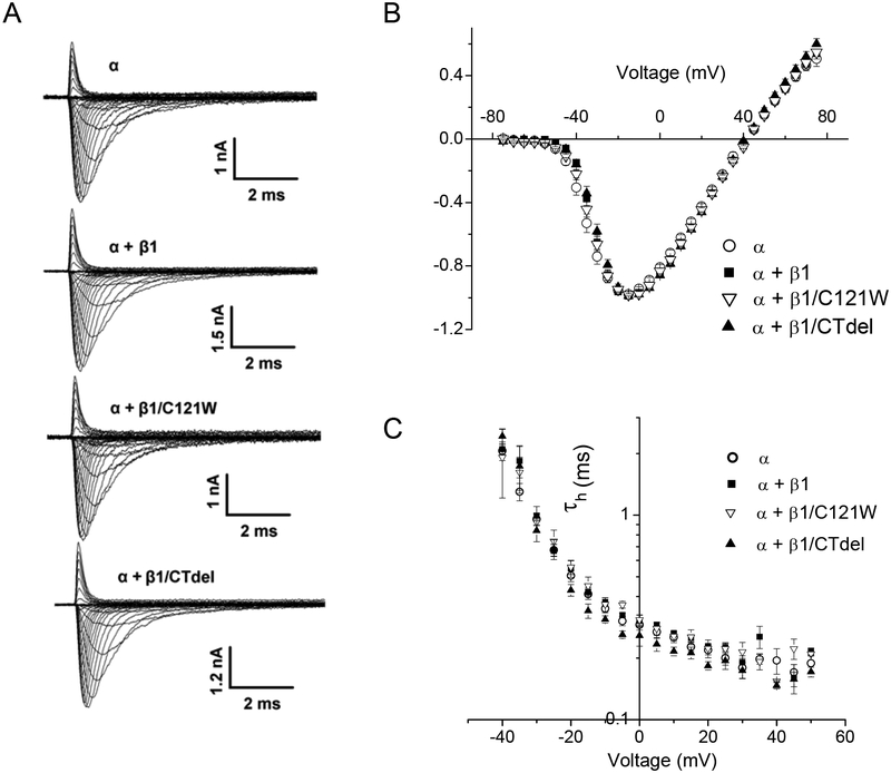 FIGURE 1