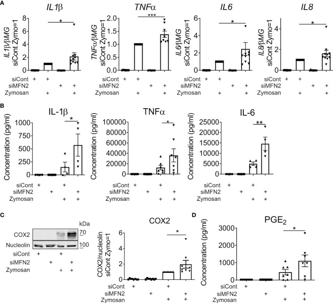 Figure 2