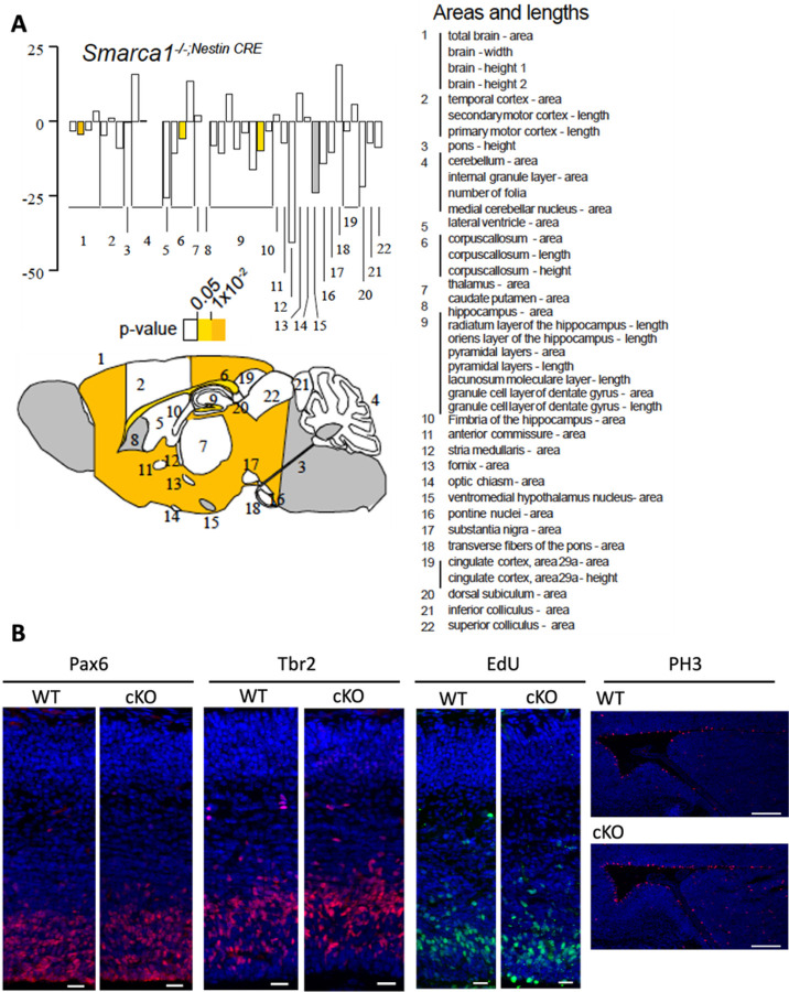 Figure 5: