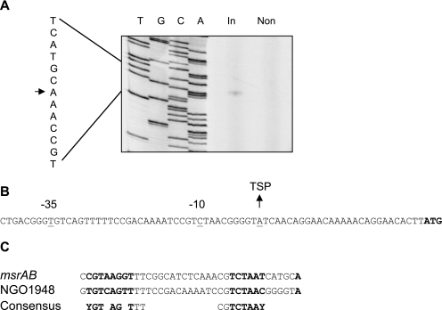 FIG. 2.