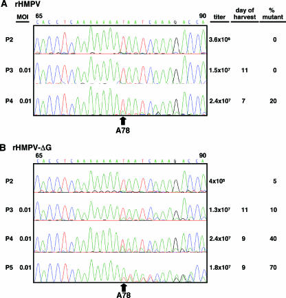 FIG. 2.